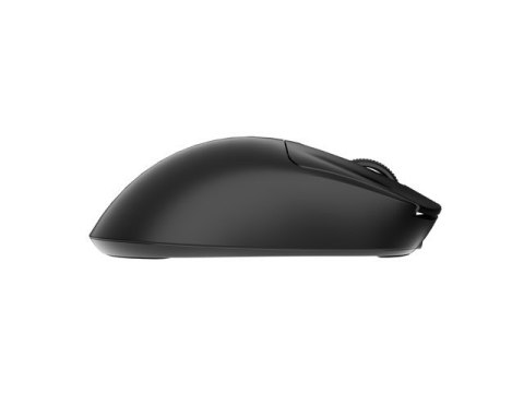 Mysz Fury TANTO T4 RGB 12000DPI bezprzewodowa czarna Mysz Fury TANTO T4 RGB 12000DPI bezprzewodowa czarna