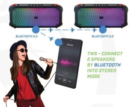 Głośnik Bluetooth FM/USB SoundVox 650