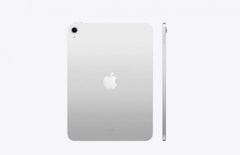 IPad WiFi + Cellular 11 cali 256 GB Srebrny IPad WiFi + Cellular 11 cali 256 GB Srebrny