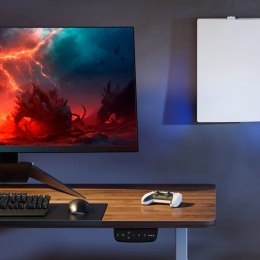 Uhwyt ścienny do PS5, RS180. 10 kg max