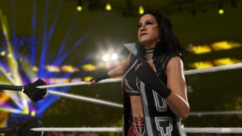 Gra PlayStation 4 WWE 2K25 Gra PlayStation 4 WWE 2K25