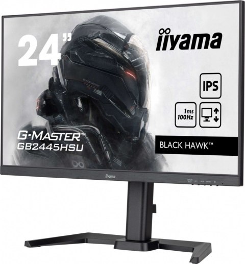 Monitor 23,8 cala GB2445HSU-B2 IPS,FHD,100Hz,1ms,2xUSB,300cd Monitor 23,8 cala GB2445HSU-B2 IPS,FHD,100Hz,1ms,2xUSB,300cd