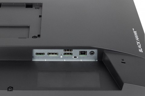 Monitor 23,8 cala GB2445HSU-B2 IPS,FHD,100Hz,1ms,2xUSB,300cd Monitor 23,8 cala GB2445HSU-B2 IPS,FHD,100Hz,1ms,2xUSB,300cd