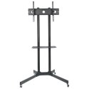 Stojak mobilny LCD/LED 30-65cali,60kg, regulowany