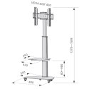 Stojak Mobilny LCD/LED 37-70cali, 40kg PIVOT