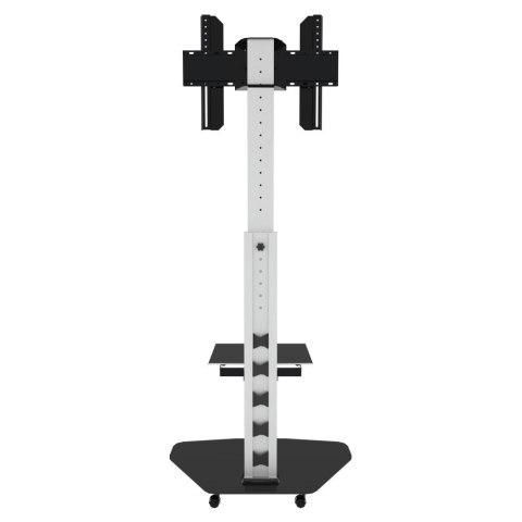 Stojak Mobilny LCD/LED 37-70cali, 40kg PIVOT Stojak Mobilny LCD/LED 37-70cali, 40kg PIVOT