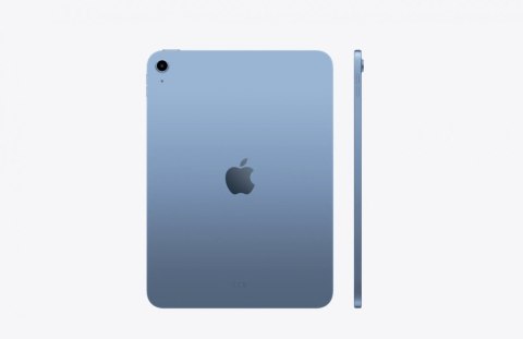 IPad WiFi + Cellular 11 cali 256 GB Niebieski IPad WiFi + Cellular 11 cali 256 GB Niebieski