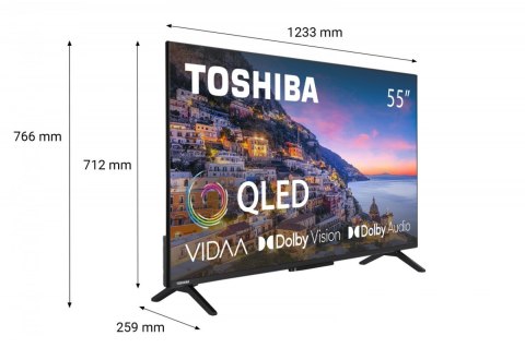 Telewizor QLED 55 cali 55QV2463DG Telewizor QLED 55 cali 55QV2463DG