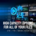 Dysk SSD 2TB M.2 2280 PCIe CS1030 M280CS1030-2TB-RB