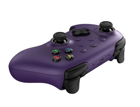 Gamepad Ultimate 2 Wirel