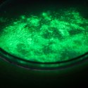 SLIME ZESTAW DIY SWIECĄCY W CIEMNOSCI XL Tuban