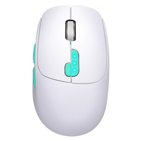 Mysz bezprzewodowa NITTA MM-307 RF+BT 1600DPI 6P biała Mysz bezprzewodowa NITTA MM-307 RF+BT 1600DPI 6P biała