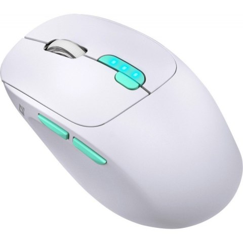 Mysz bezprzewodowa NITTA MM-307 RF+BT 1600DPI 6P biała Mysz bezprzewodowa NITTA MM-307 RF+BT 1600DPI 6P biała