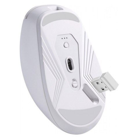 Mysz bezprzewodowa NITTA MM-307 RF+BT 1600DPI 6P biała Mysz bezprzewodowa NITTA MM-307 RF+BT 1600DPI 6P biała