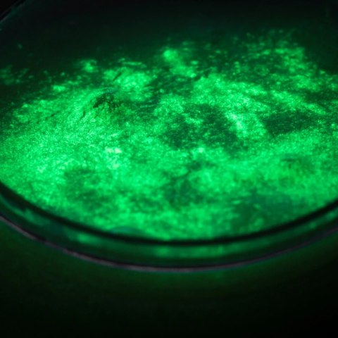 SLIME ZESTAW DIY SWIECĄCY W CIEMNOSCI Tuban SLIME ZESTAW DIY SWIECĄCY W CIEMNOSCI Tuban