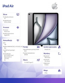IPad Air 13 cali WiFi + Cellular 256GB Szary