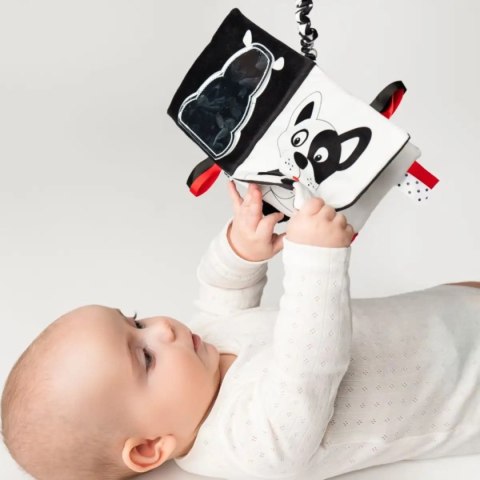 Książeczka Kto to? Co to? Moms Care Książeczka Kto to? Co to? Moms Care