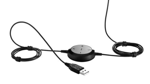 Evolve 20 Duo, MS Evolve 20 Duo, MS