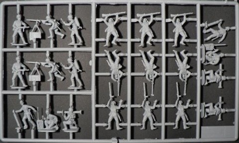 German Infantry German Infantry