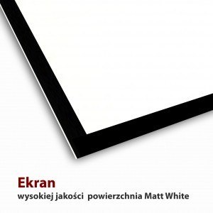 Ekran elektryczny 16:9 119" 264x147cm z pilotem FS-119 16:9 Ekran elektryczny 16:9 119" 264x147cm z pilotem FS-119 16:9