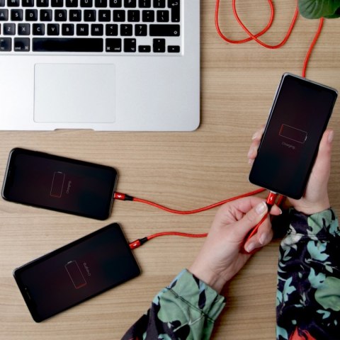 Kabel ładujący 3-in-1 USB - USB-C/microUSB/Lightning, 1,2m; C4049RD Kabel ładujący 3-in-1 USB - USB-C/microUSB/Lightning, 1,2m; C4049RD