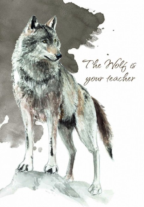 Karty Tarot Power Animal Cards Karty Tarot Power Animal Cards