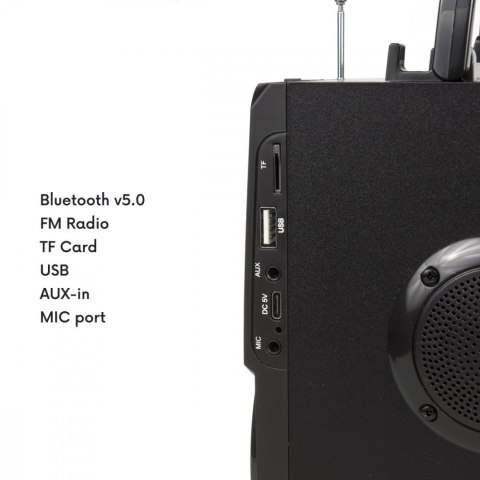Głośnik Bluetooth radio USB Audiocore AC730 Głośnik Bluetooth radio USB Audiocore AC730