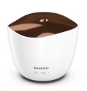 Aromatyzer powietrza DF-A1E-W