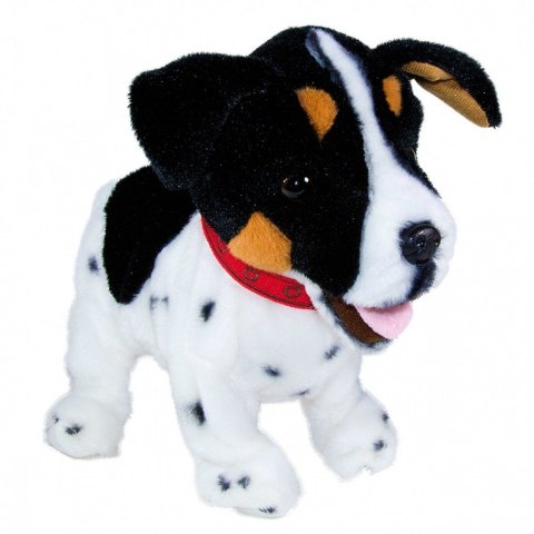 Maskotka interaktywna Figo Pies reagujący na komendy Jack Russel Terrier Maskotka interaktywna Figo Pies reagujący na komendy Jack Russel Terrier