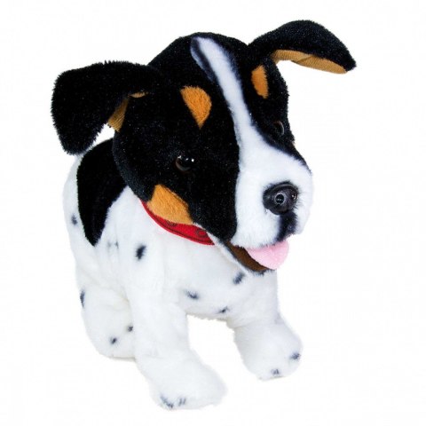 Maskotka interaktywna Figo Pies reagujący na komendy Jack Russel Terrier Maskotka interaktywna Figo Pies reagujący na komendy Jack Russel Terrier