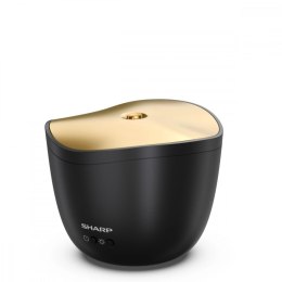 Aromatyzer powietrza DF-A1E-B