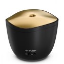 Aromatyzer powietrza DF-A1E-B