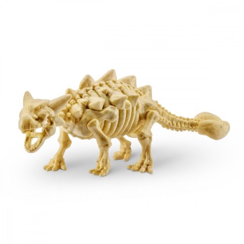 Skamieniałe jajo Dinozaura Skamieniałe jajo Dinozaura