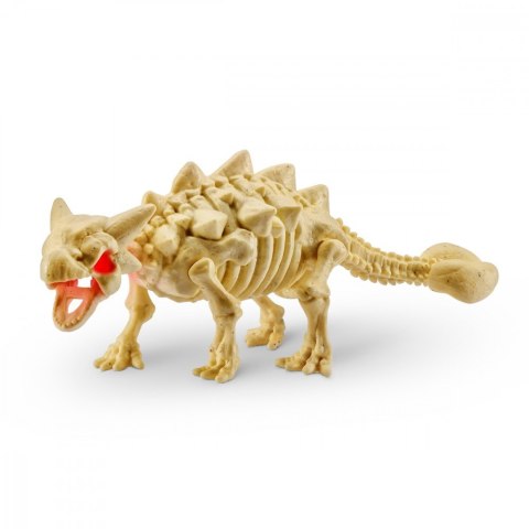 Skamieniałe jajo Dinozaura Skamieniałe jajo Dinozaura