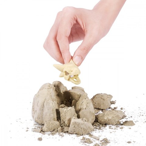 Skamieniałe jajo Dinozaura Skamieniałe jajo Dinozaura