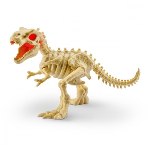 Skamieniałe jajo Dinozaura Skamieniałe jajo Dinozaura