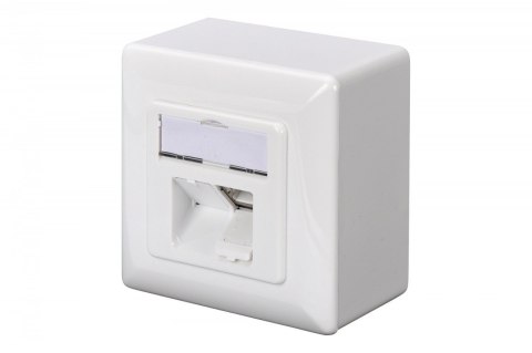 Gniazdo natynkowe kat.6A 2xRJ45 Ekranowane Gniazdo natynkowe kat.6A 2xRJ45 Ekranowane