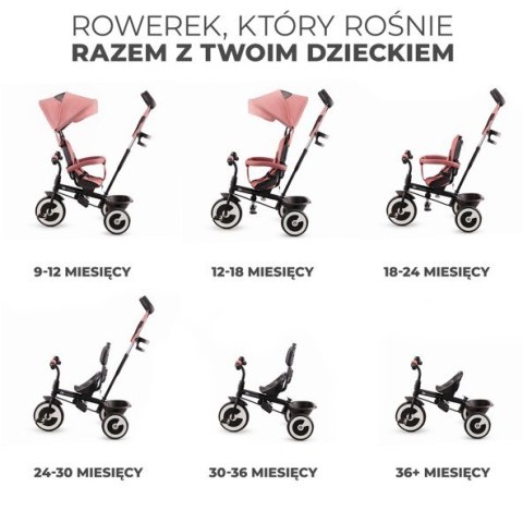 Rowerek trójkołowy ASTON ROSE PINK Rowerek trójkołowy ASTON ROSE PINK