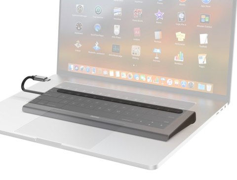 Stacja dokująca USB C 10 portów Stacja dokująca USB C 10 portów