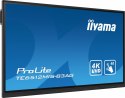 Monitor 65 cali ProLite TE6512MIS-B3AG 40pkt,IPS,4K,24/7, 7H,WiFi,VGA,HDMI,USB-c,Bluetooth,metal,8ms,Vesa,2x16W