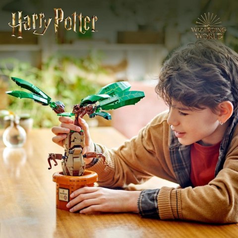 Klocki Harry Potter 76433 Mandragora Klocki Harry Potter 76433 Mandragora