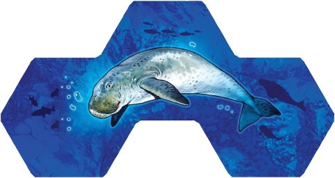 Gra Aqua (edycja polska) Gra Aqua (edycja polska)