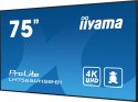 Monitor 75 cali LH7565UHSB-B1, 24/7, IPS, ANDROID 11, 4K, 800cd, iiSignage2, SDM, 2x HDMI, DP, 2x USB,2x 10W, RJ45, WiFi, 4/32GB