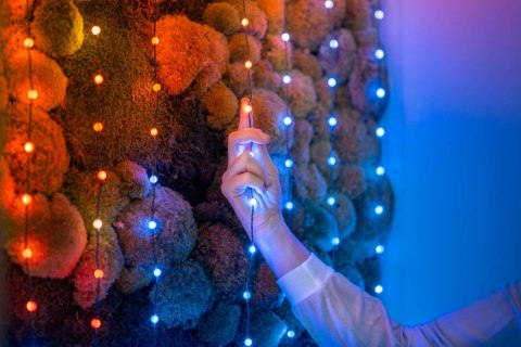 Inteligentne lampki dekoracyjne Strings USB-C (Candies) 200 LED RGB, perły, zielony przewód, 12 m Inteligentne lampki dekoracyjne Strings USB-C (Candies) 200 LED RGB, perły, zielony przewód, 12 m