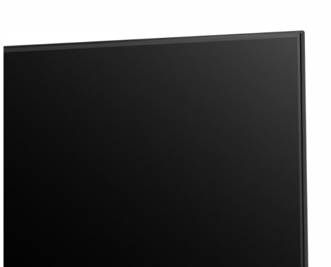 Telewizor LED 55 cali 55A6N Telewizor LED 55 cali 55A6N