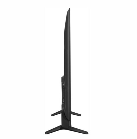 Telewizor LED 55 cali 55A6N Telewizor LED 55 cali 55A6N