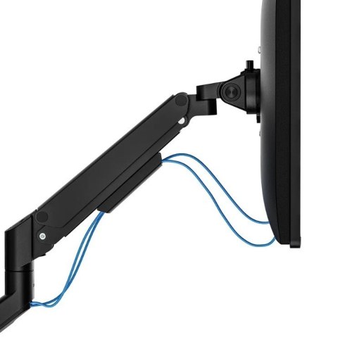 Ramię do monitora DS70-250BL1 NEXT Slim Ramię do monitora DS70-250BL1 NEXT Slim