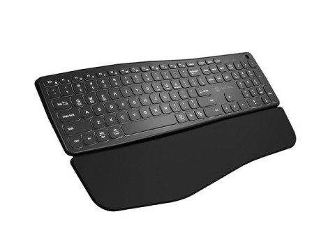 Klawiatura Porifera US bezprzewodowa Bluetooth + 2.4GHZ Klawiatura Porifera US bezprzewodowa Bluetooth + 2.4GHZ