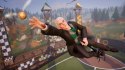Gra PlayStation 4 Harry Potter Mistrzowie Quidditcha Edycja Deluxe