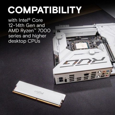 Pamięć DDR5 Pro OC 16/6000(1*16GB) CL36 biała Pamięć DDR5 Pro OC 16/6000(1*16GB) CL36 biała